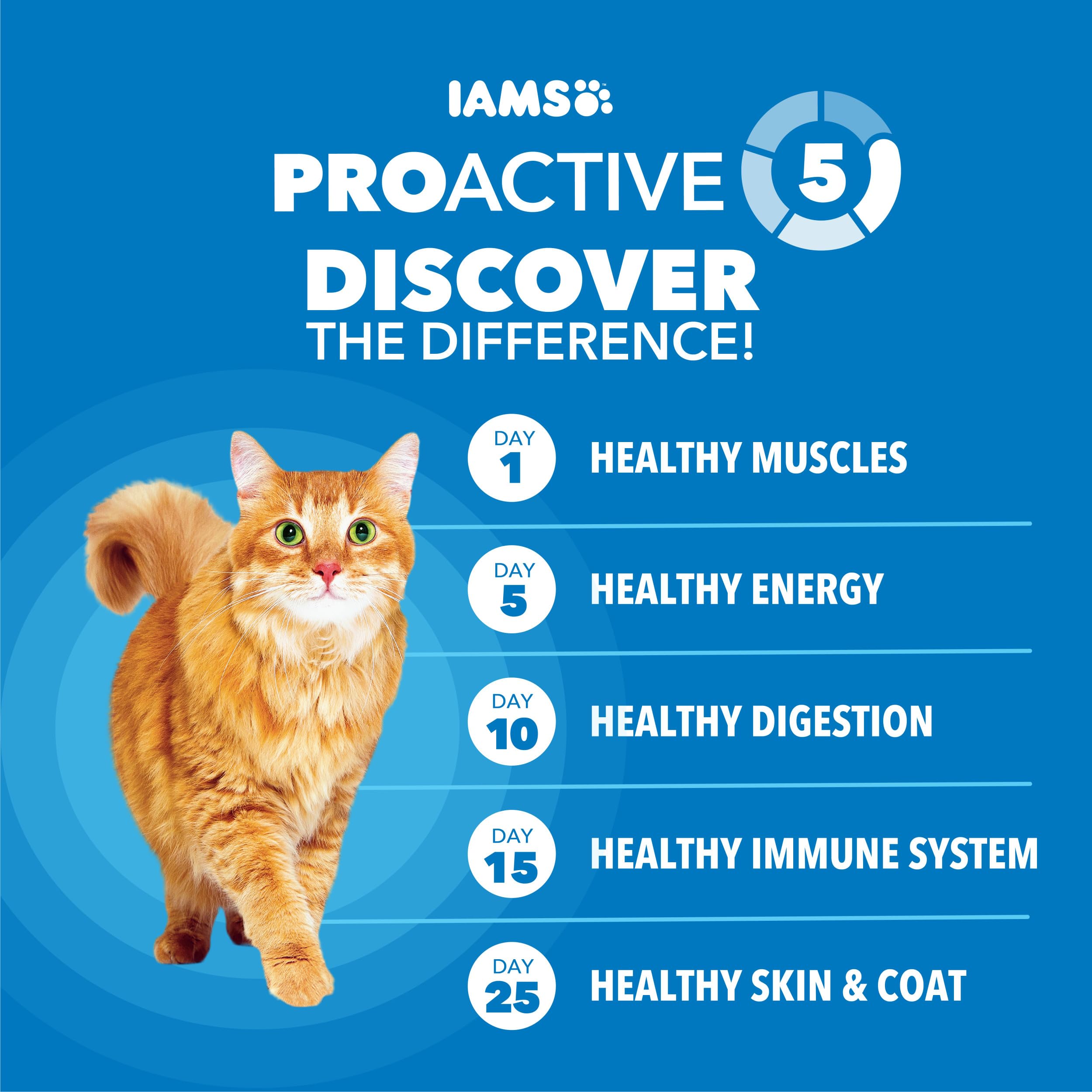 IAMS Proactive Health active cat in motion enjoying balanced nutrition.
