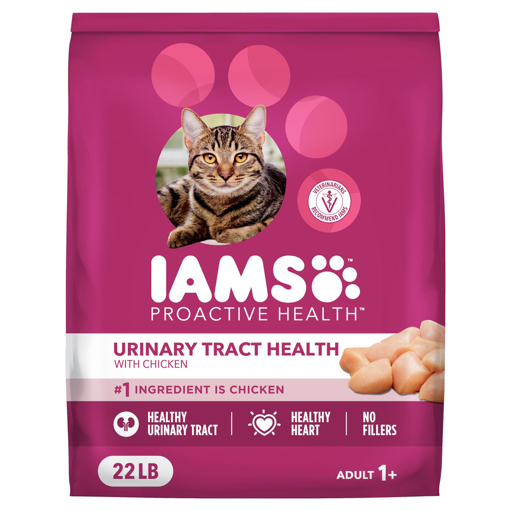 IAMS Proactive Health: alimento seco para gato con pollo real y bienestar general