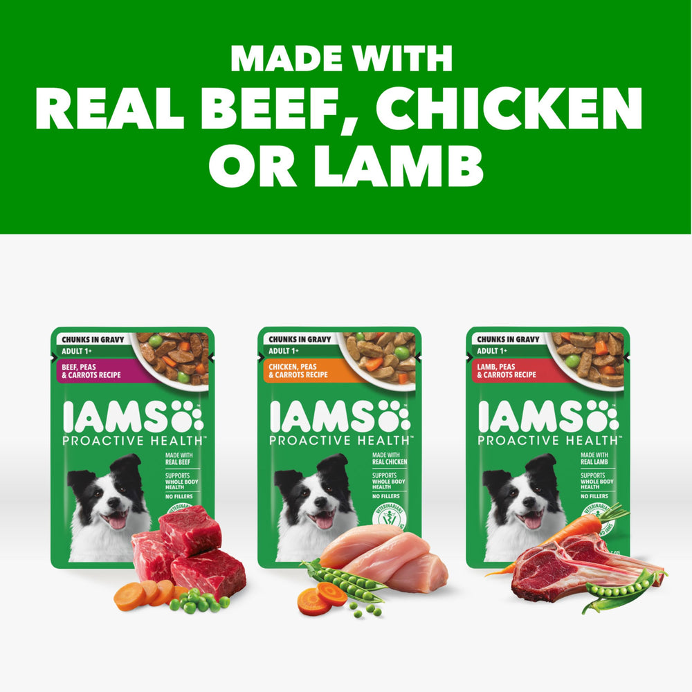 IAMS Proactive Health con carne real, perfecta como complemento a croquetas secas.