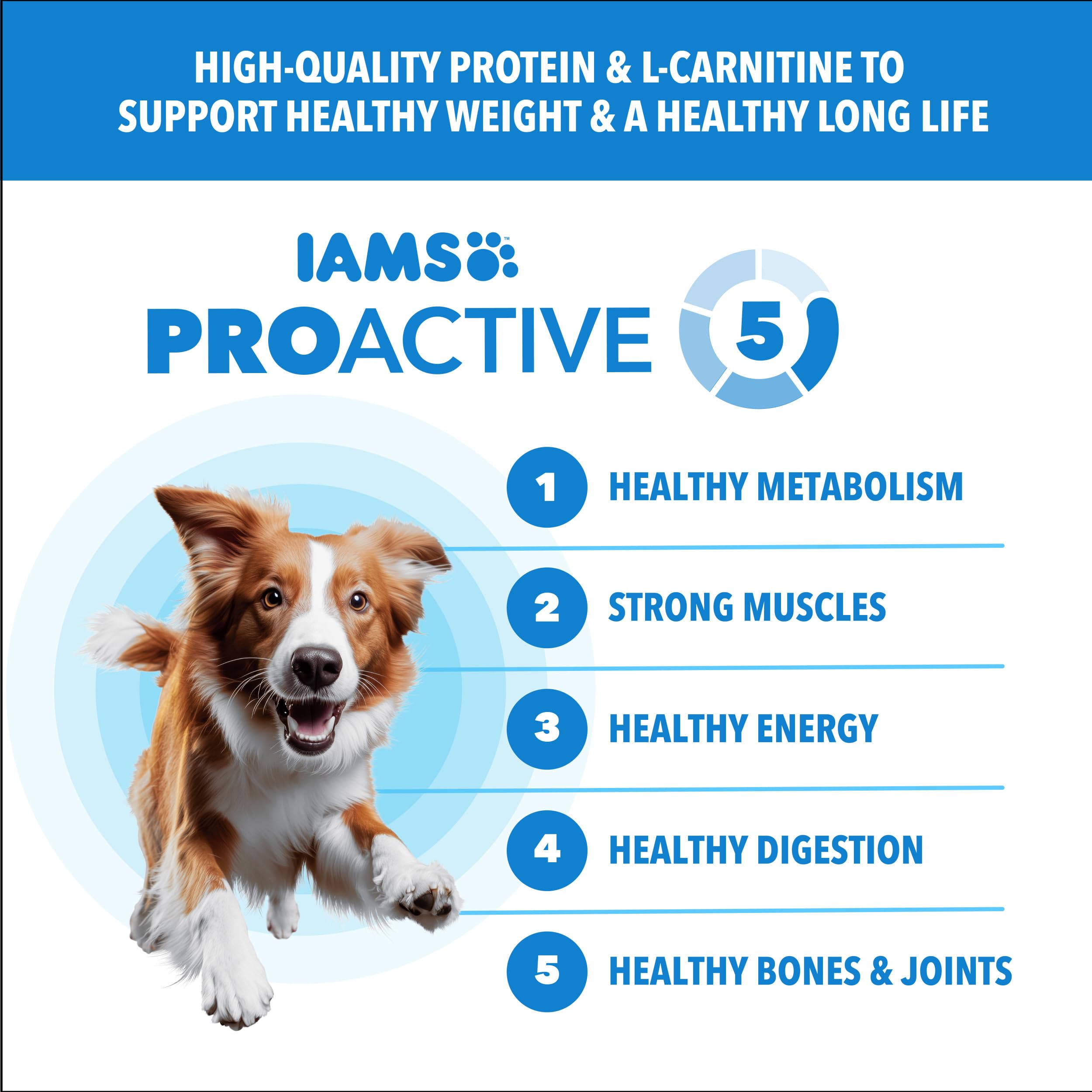 IAMS Proactive Health croquetas para perros adultos en tazón para nutrición diaria