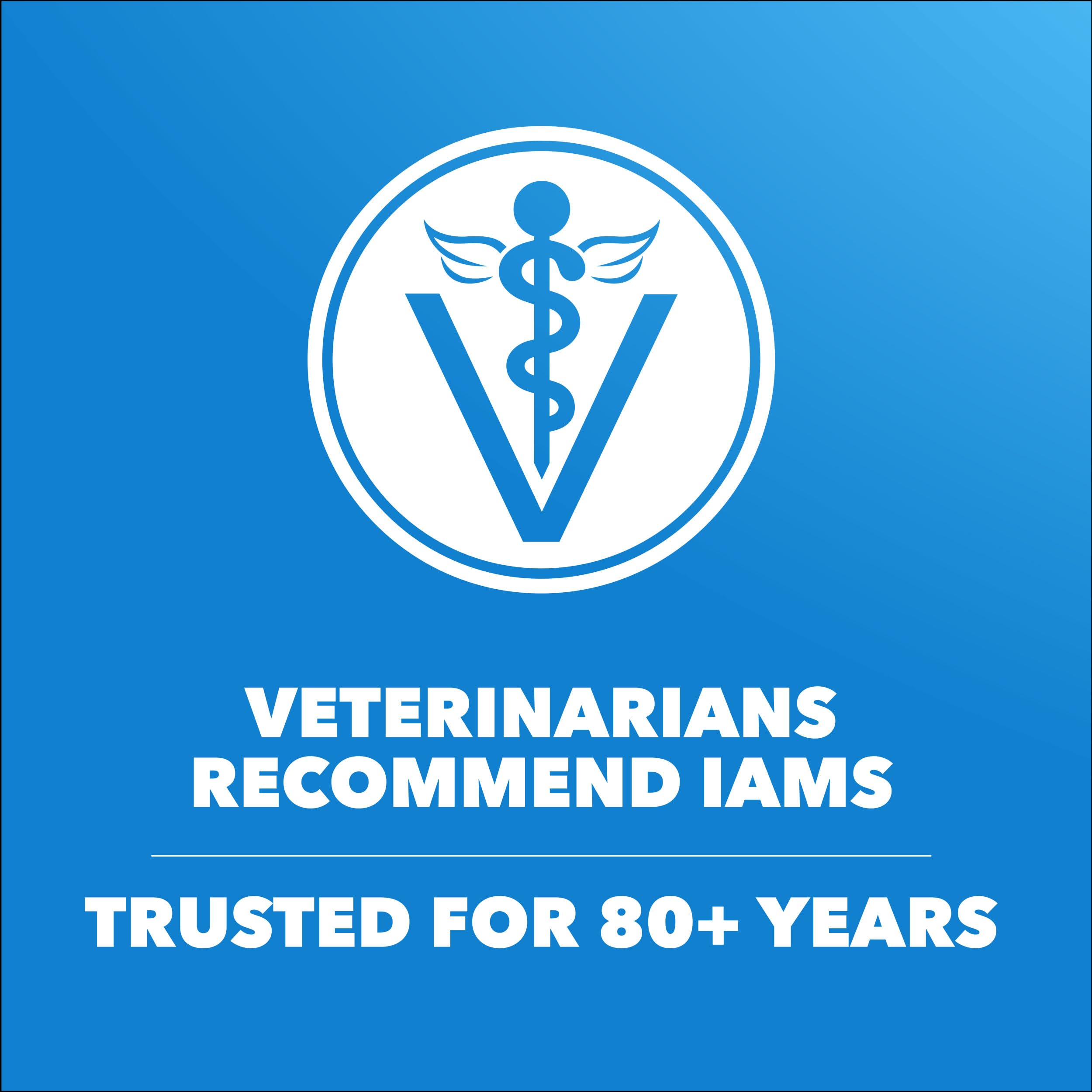 IAMS Proactive Health fibra natural y prebióticos para digestión equilibrada