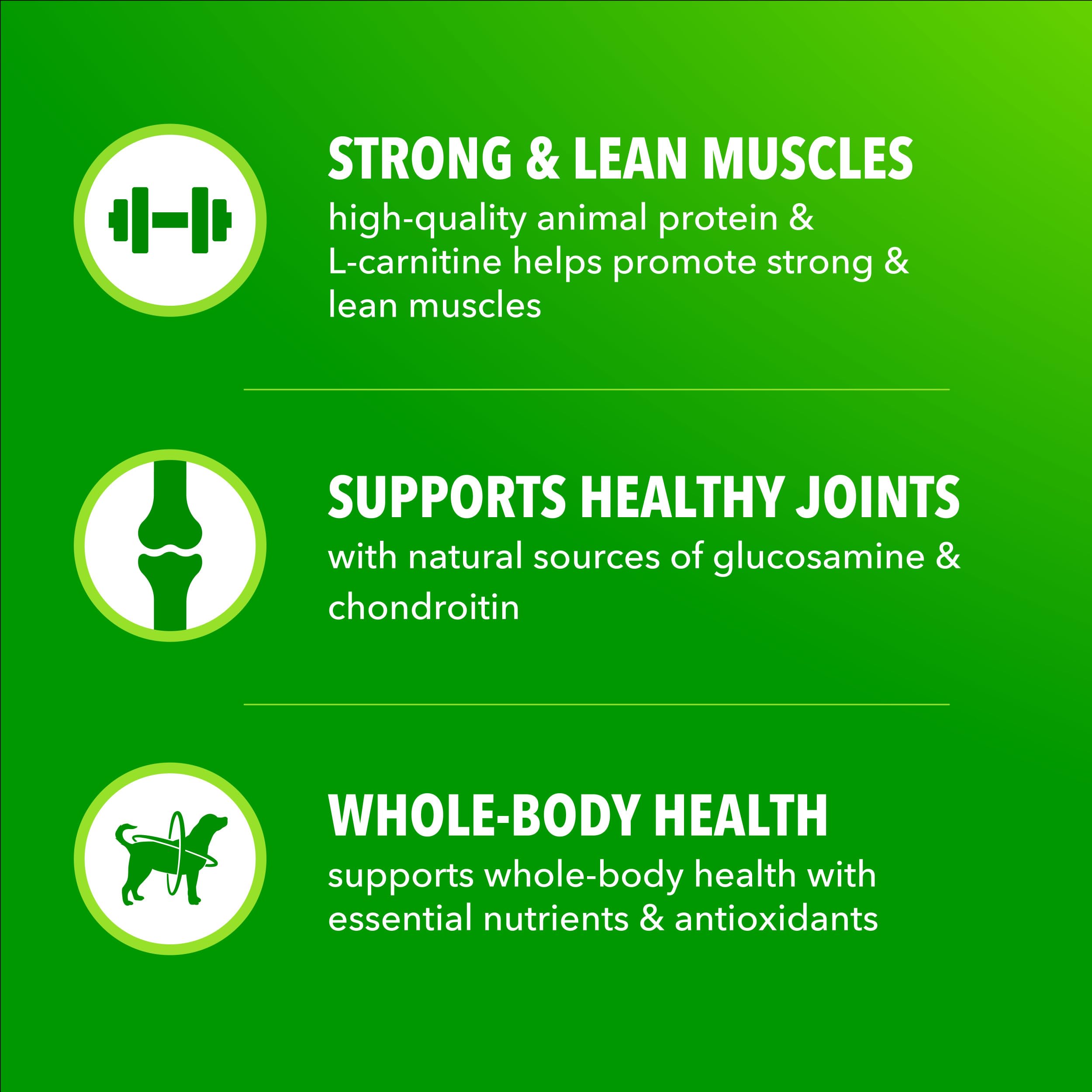 IAMS Proactive Health: energía saludable con granos integrales