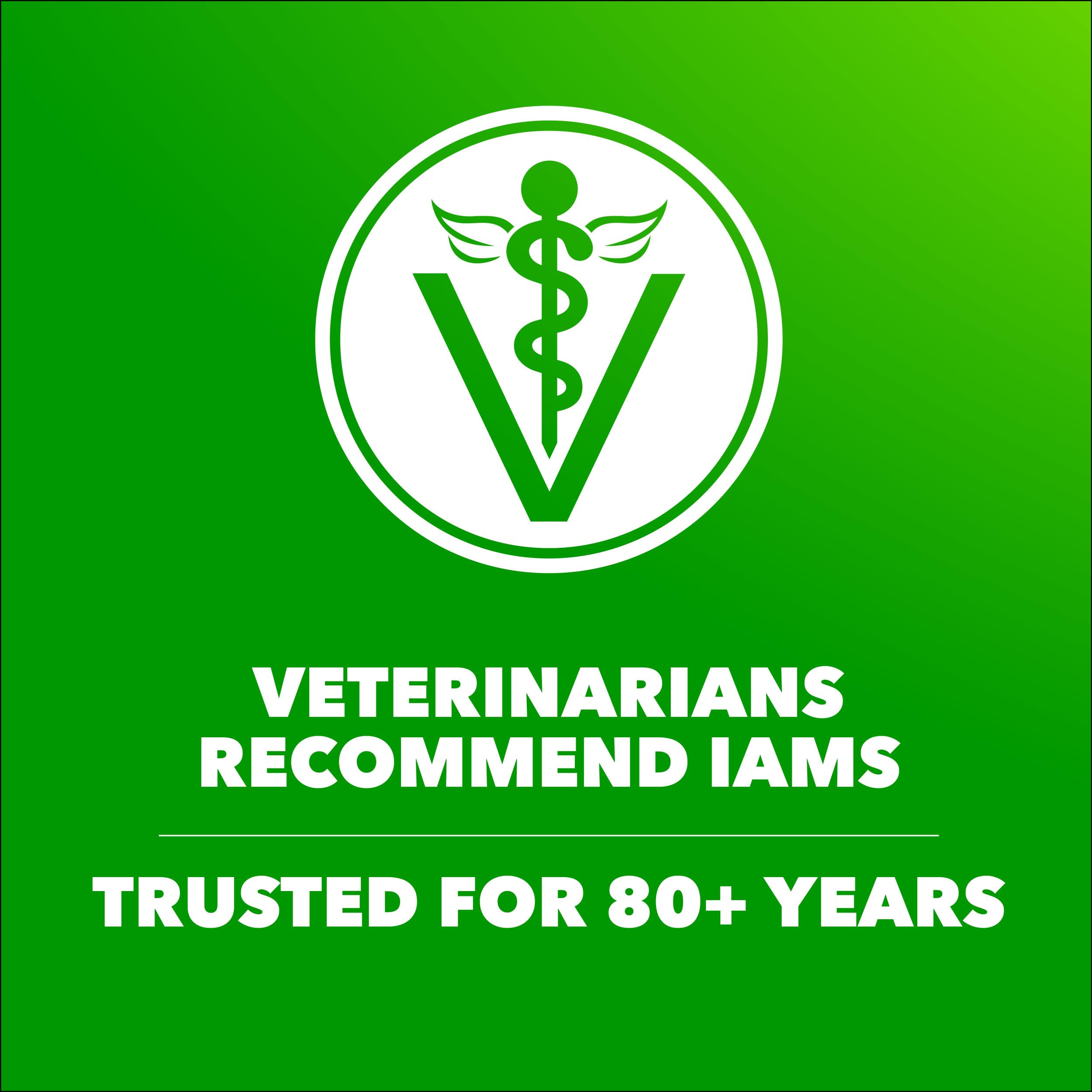 IAMS Proactive Health: fórmula sin rellenos ni sabores artificiales