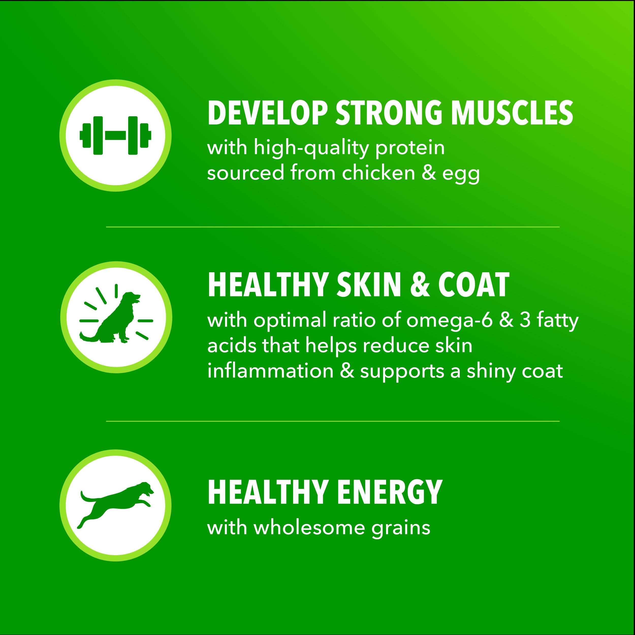 Fibra y preb bi oticos en IAMS Proactive Health: digestión suave y estable