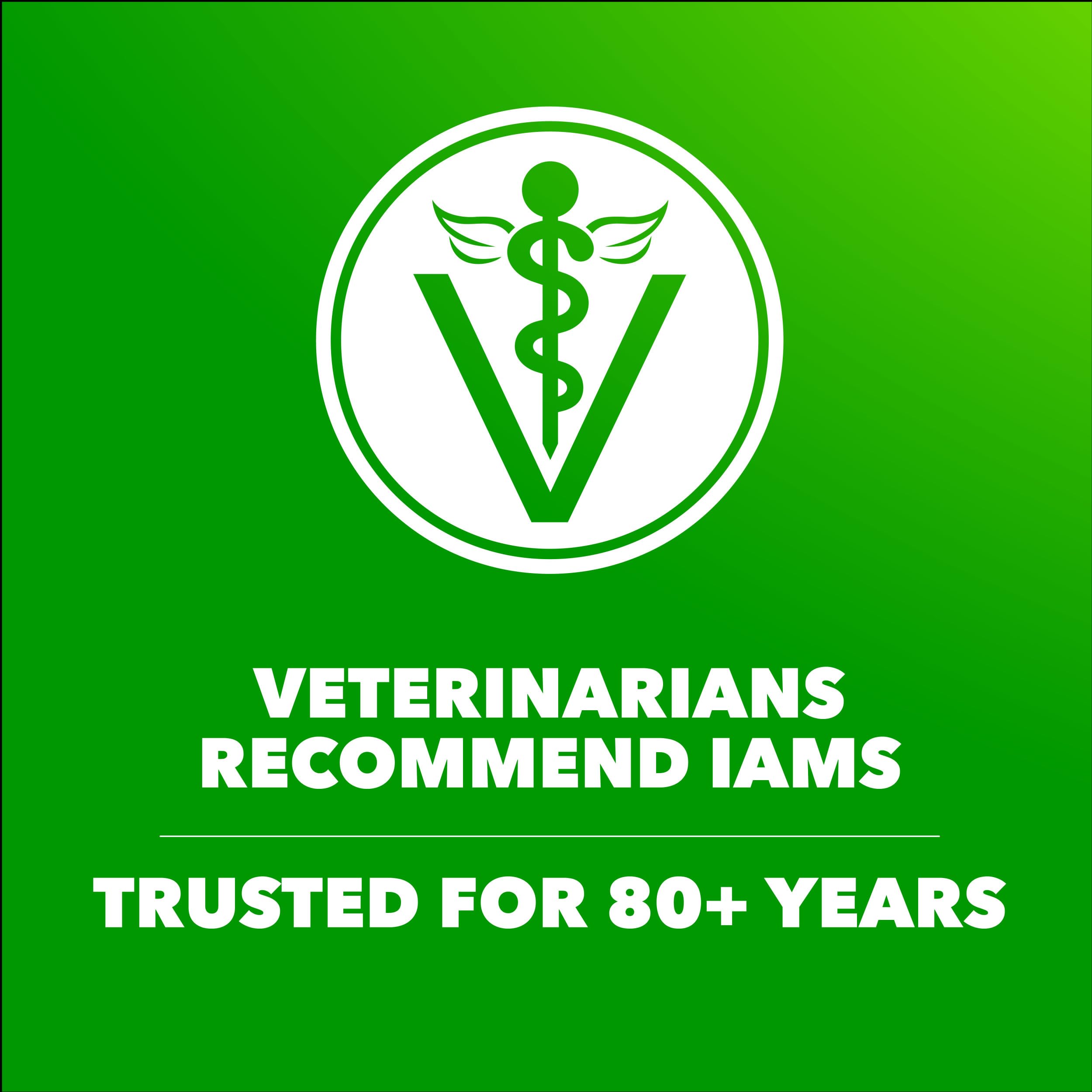 IAMS Proactive Health: musculos fuertes gracias a proteina de calidad