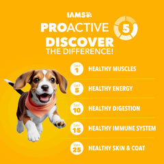 IAMS Proactive Health para cachorros grandes croquetas con Omega-3 DHA para desarrollo cognitivo.