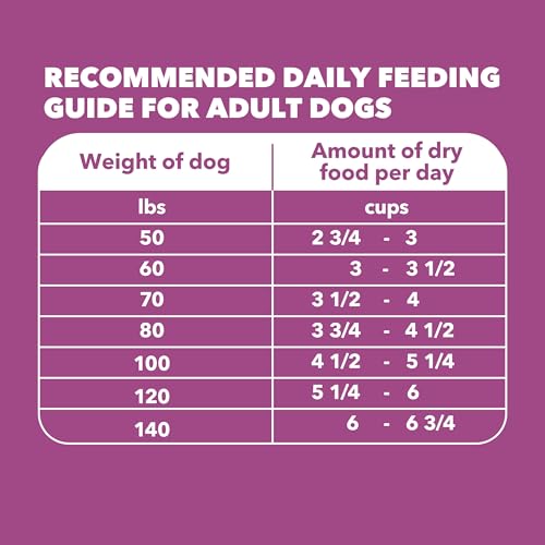 Comida para perros senior de IAMS Proactive Health, lista para servir.