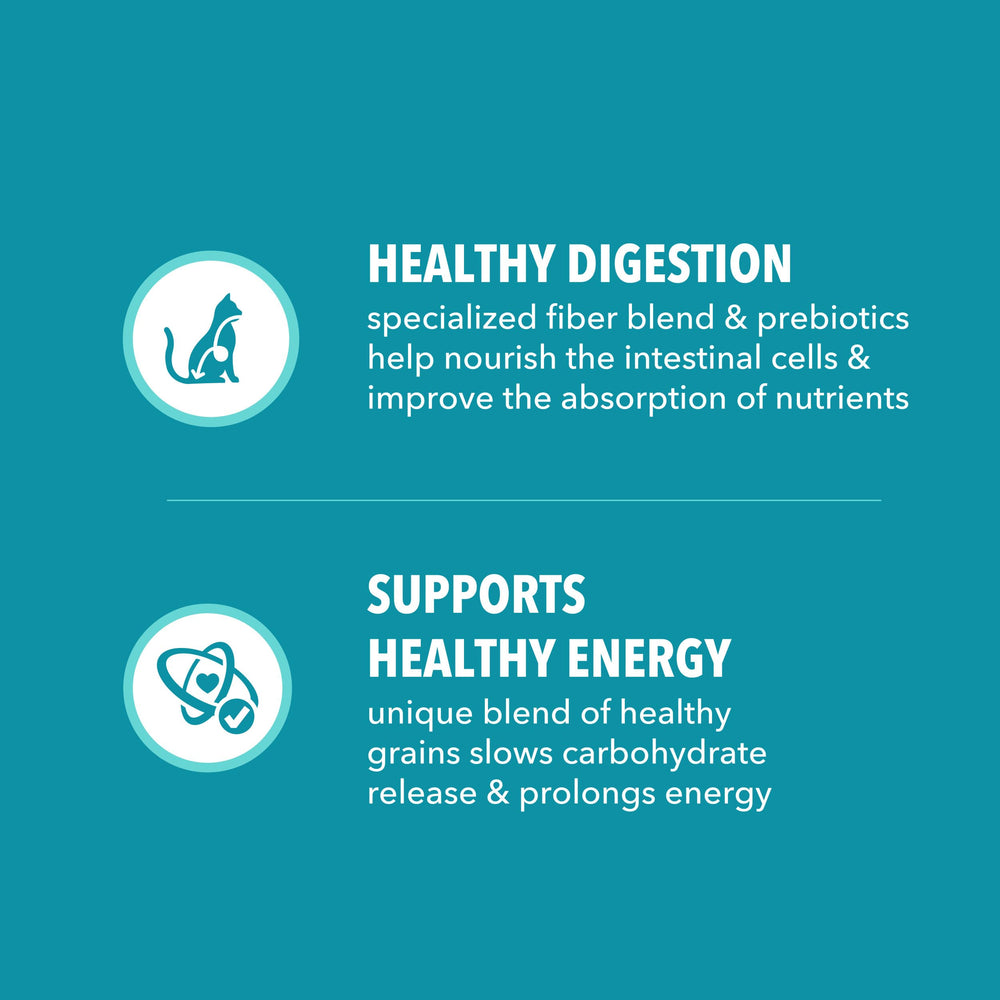 IAMS Proactive Health Corazón, nutrientes esenciales, ayuda a mantener un corazón saludable.