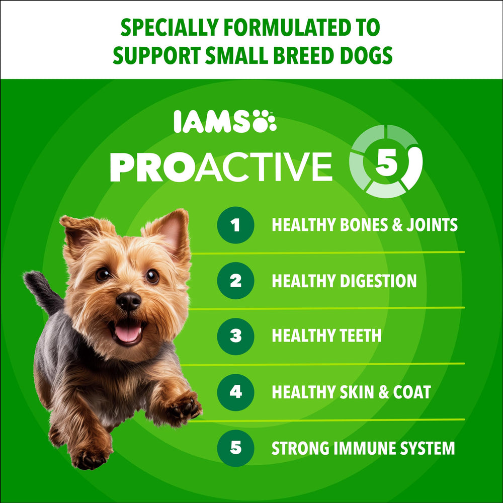 Croquetas crujientes de IAMS Proactive Health para higiene dental