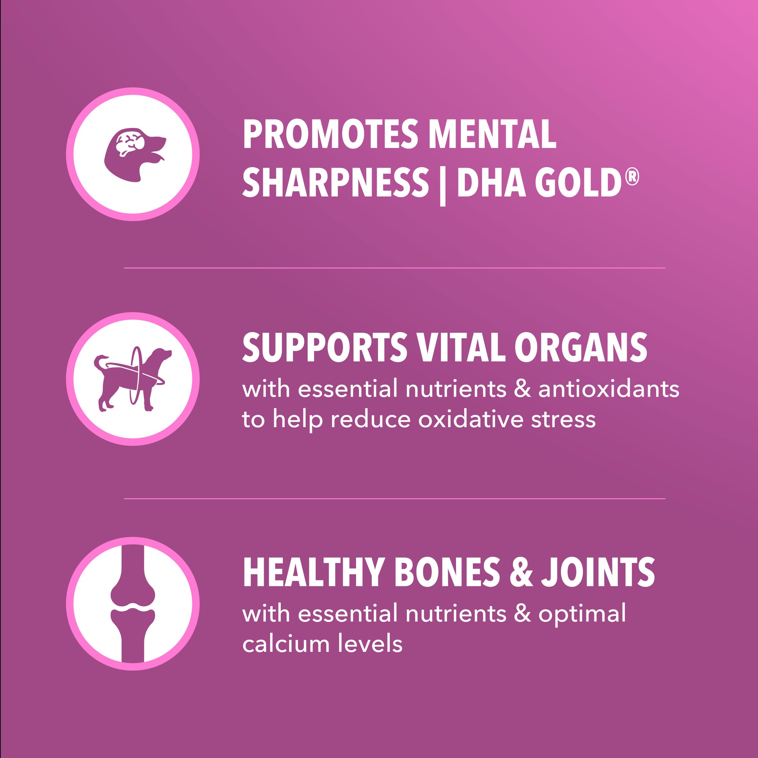 DHA Gold supports mental and visual sharpness in senior dogs.