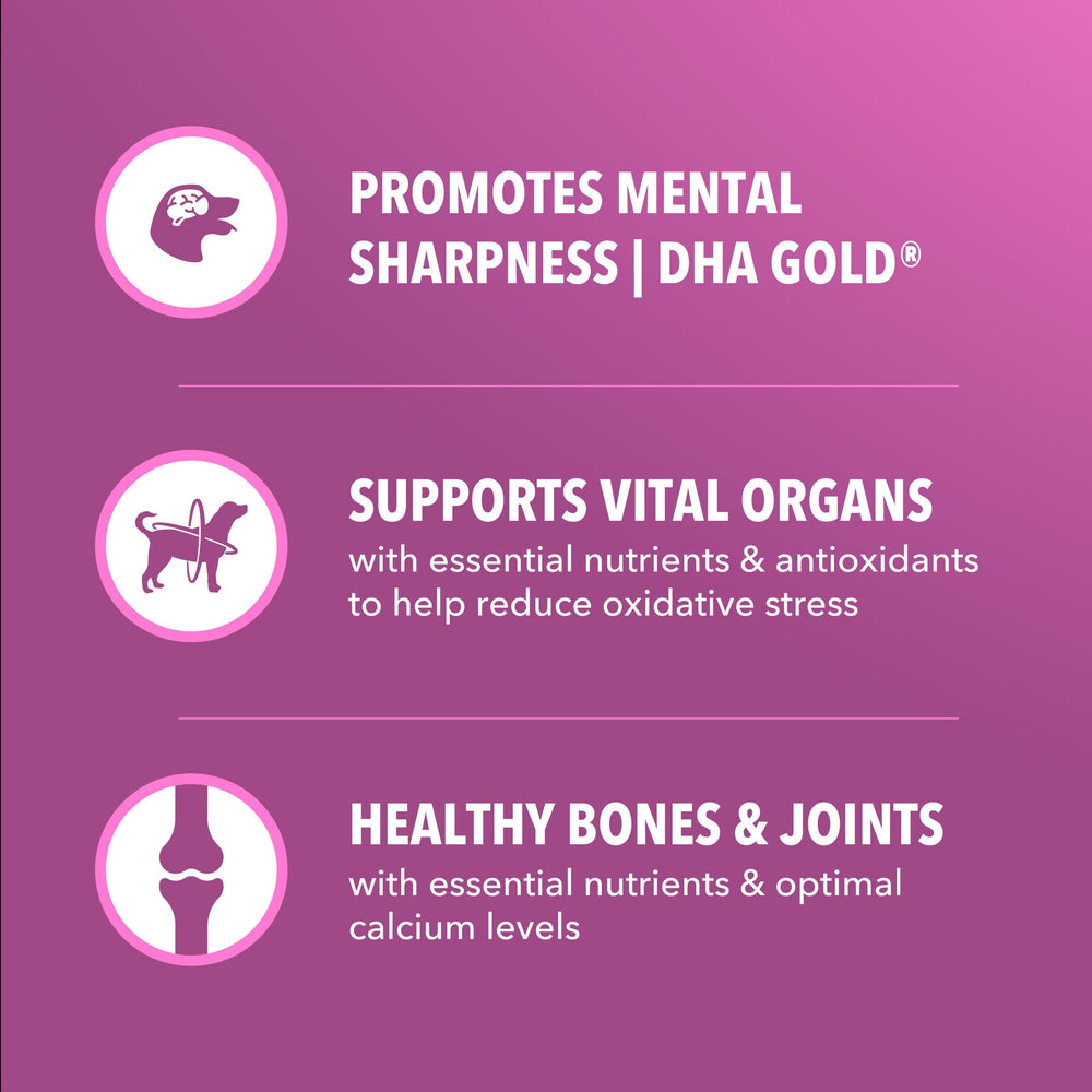 DHA Gold supports mental and visual sharpness in senior dogs.