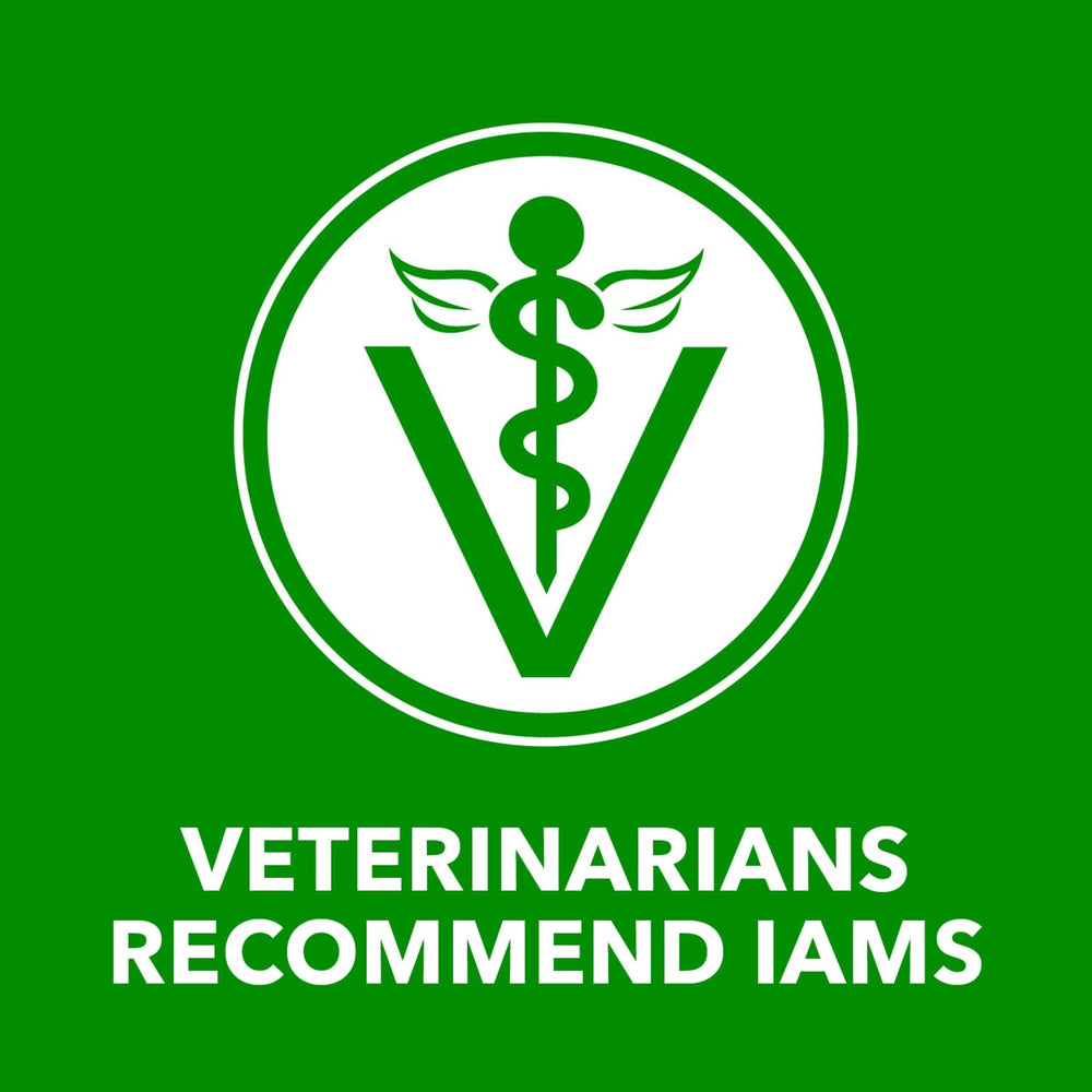 IAMS Proactive Health: dieta completa para adultos, diseñada para la rutina diaria.