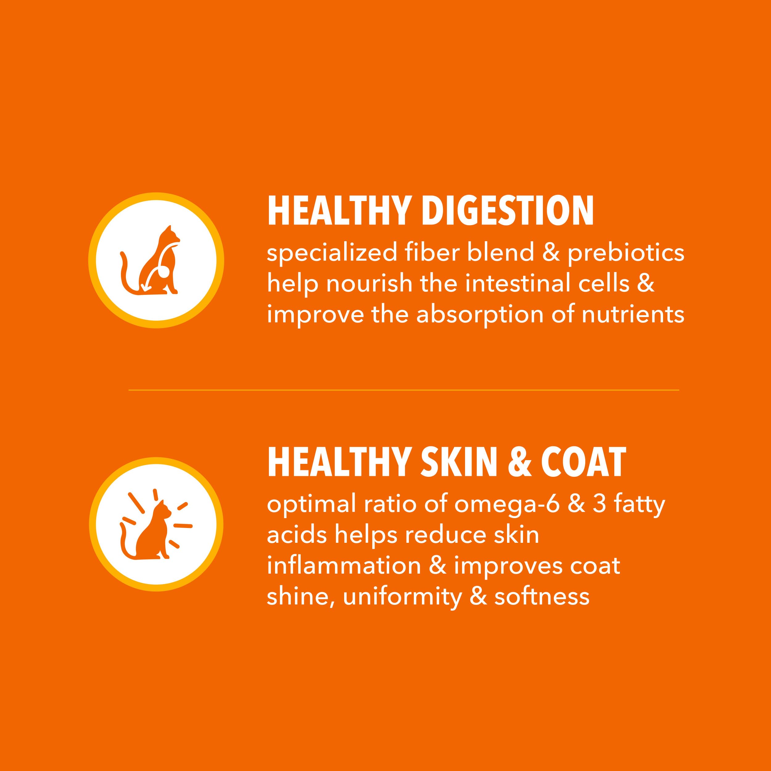 IAMS Proactive Health: energía sostenida gracias a granos integrales.