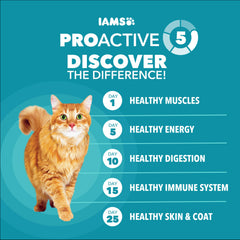 IAMS Proactive Health: fibra con pulpa de remolacha para bolas de pelo.