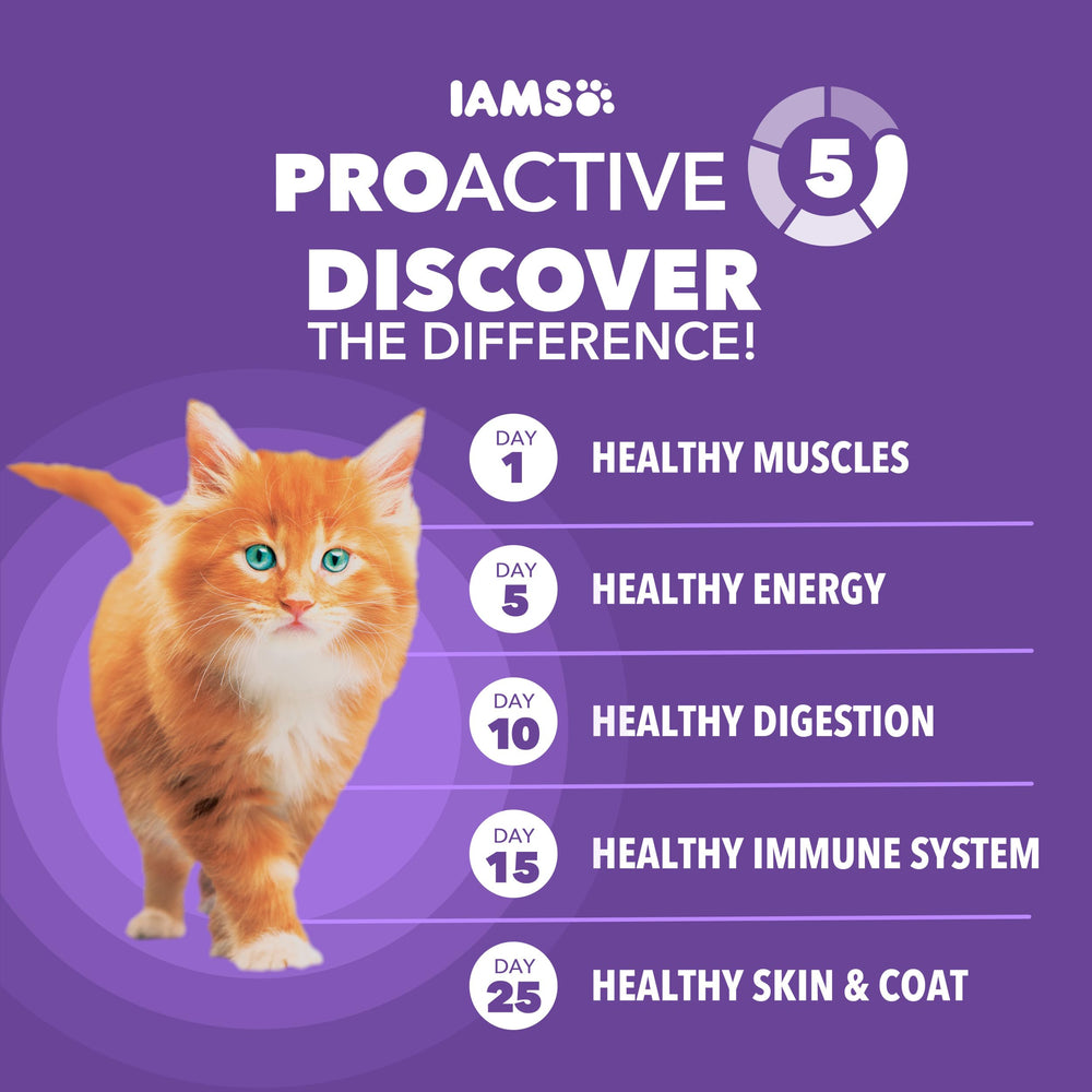 IAMS Proactive Health Gatito Antioxidantes para fortalecer inmunidad