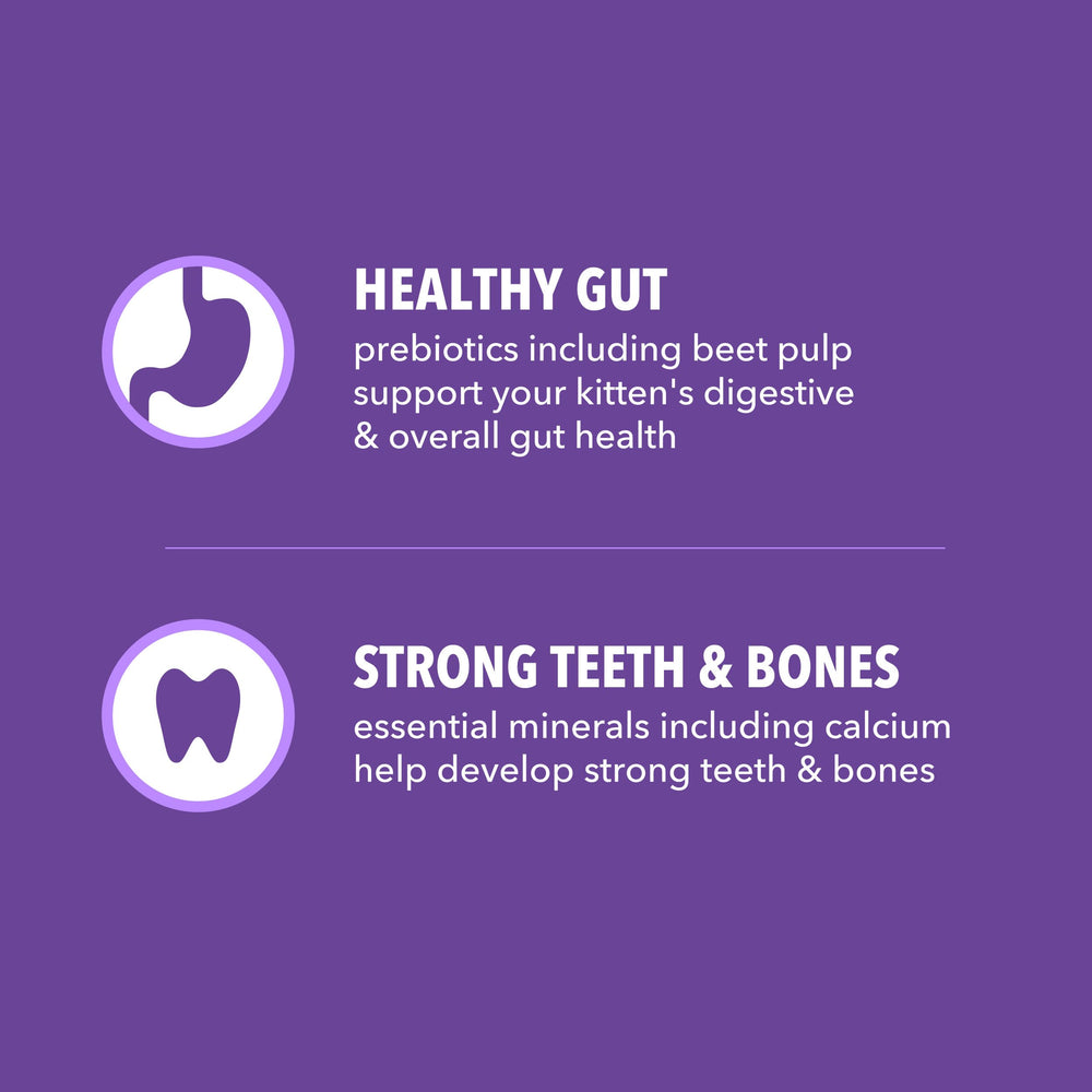 IAMS Proactive Health gatito, apoyo digestivo con fibra natural y prebióticos