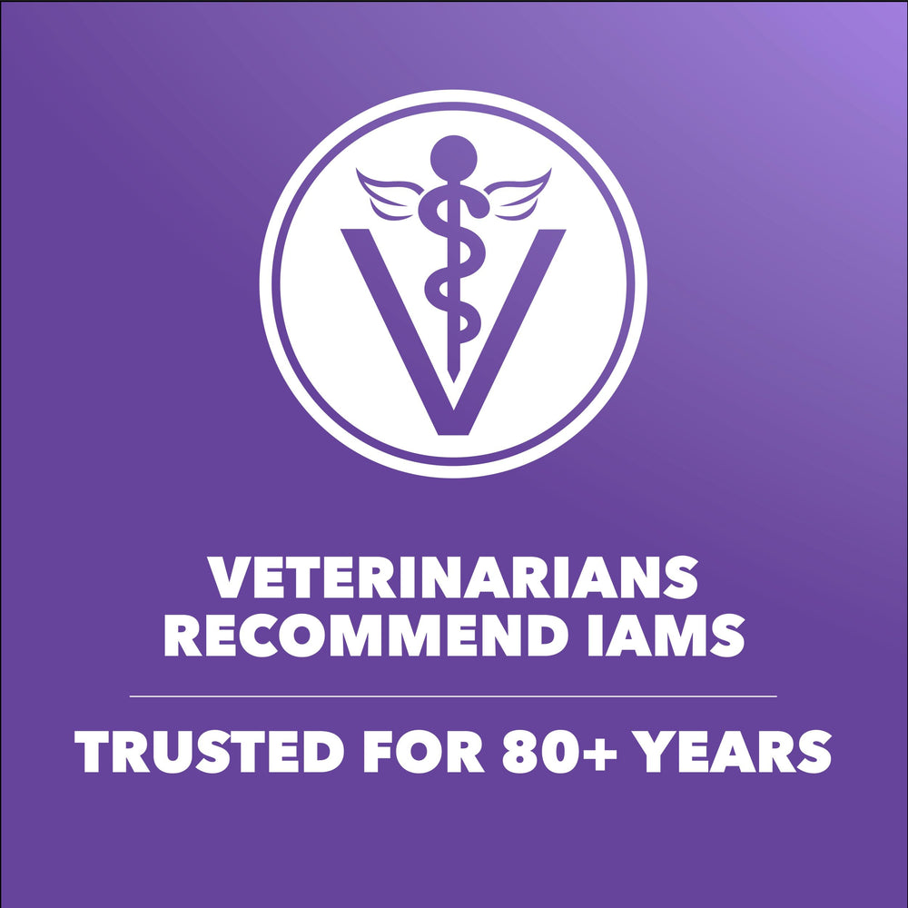 IAMS Proactive Health Gatito, calcio para huesos fuertes y crecimiento estable.