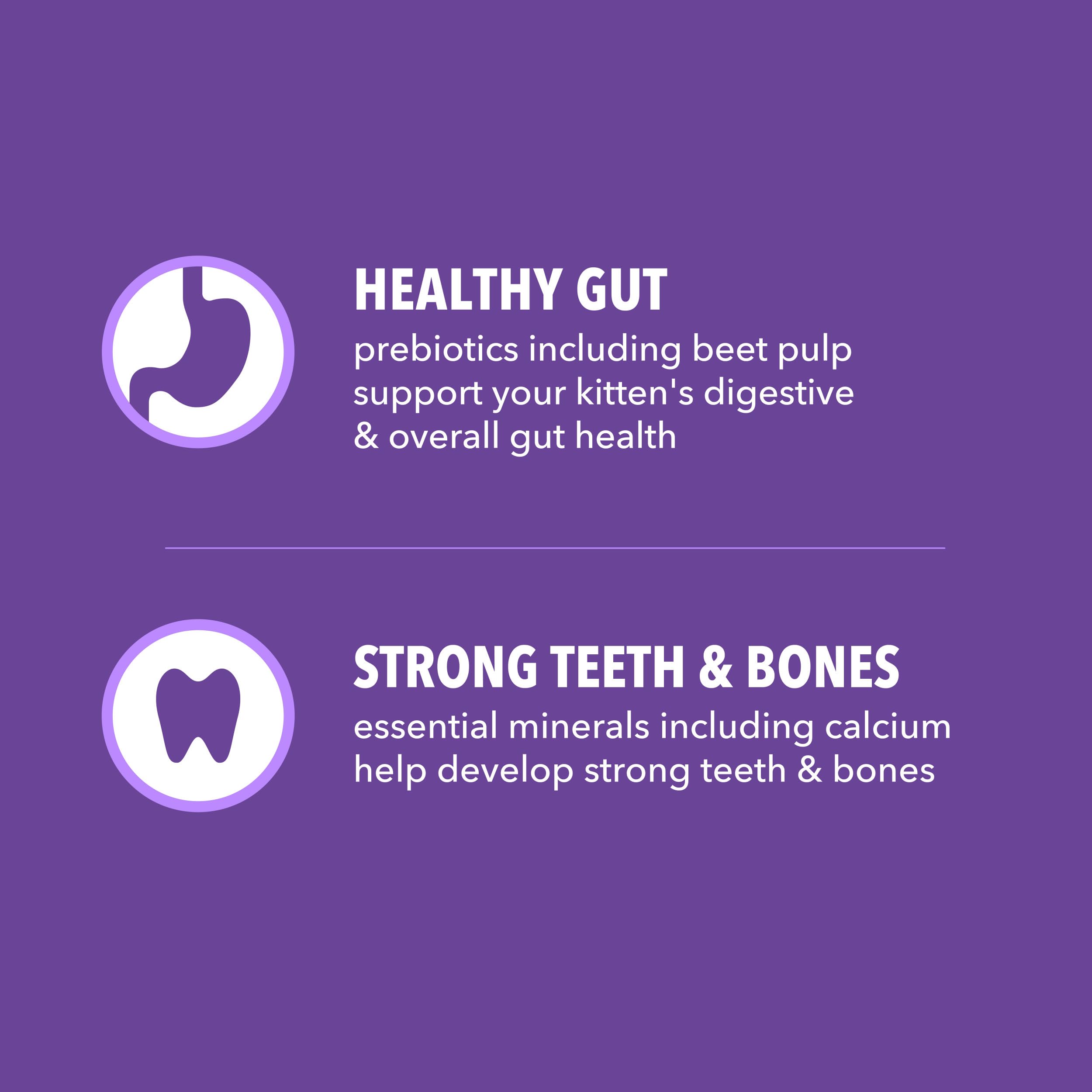 IAMS Proactive Health Gatito Digestión: fibra y prebióticos para digestión