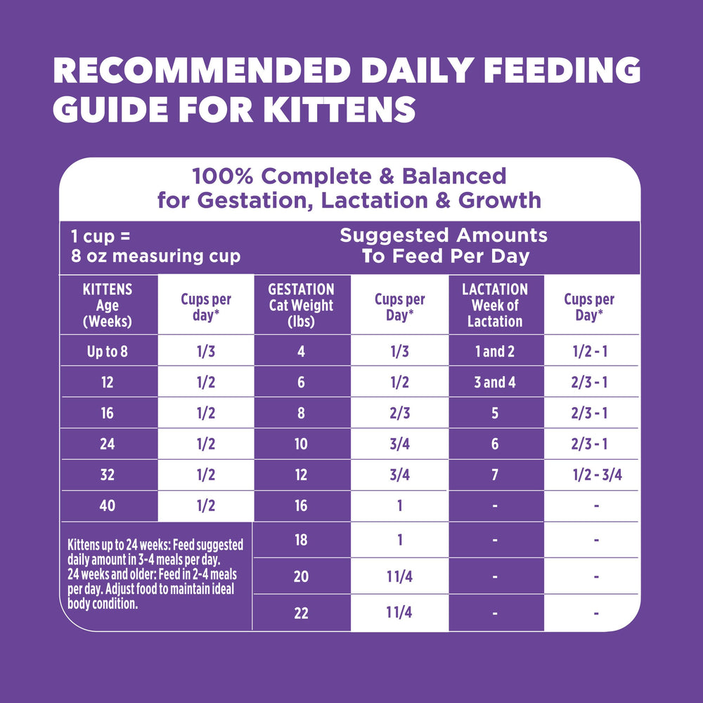 IAMS Proactive Health Gatito Envase de 7 lb para alimentación diaria