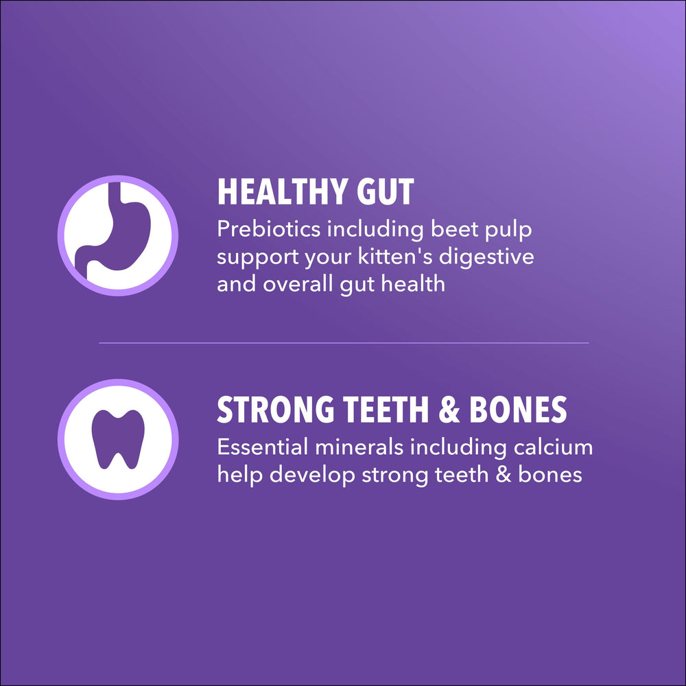 IAMS Proactive Health Gatito, fibra prebiótica y pulpa de remolacha para digestión suave.
