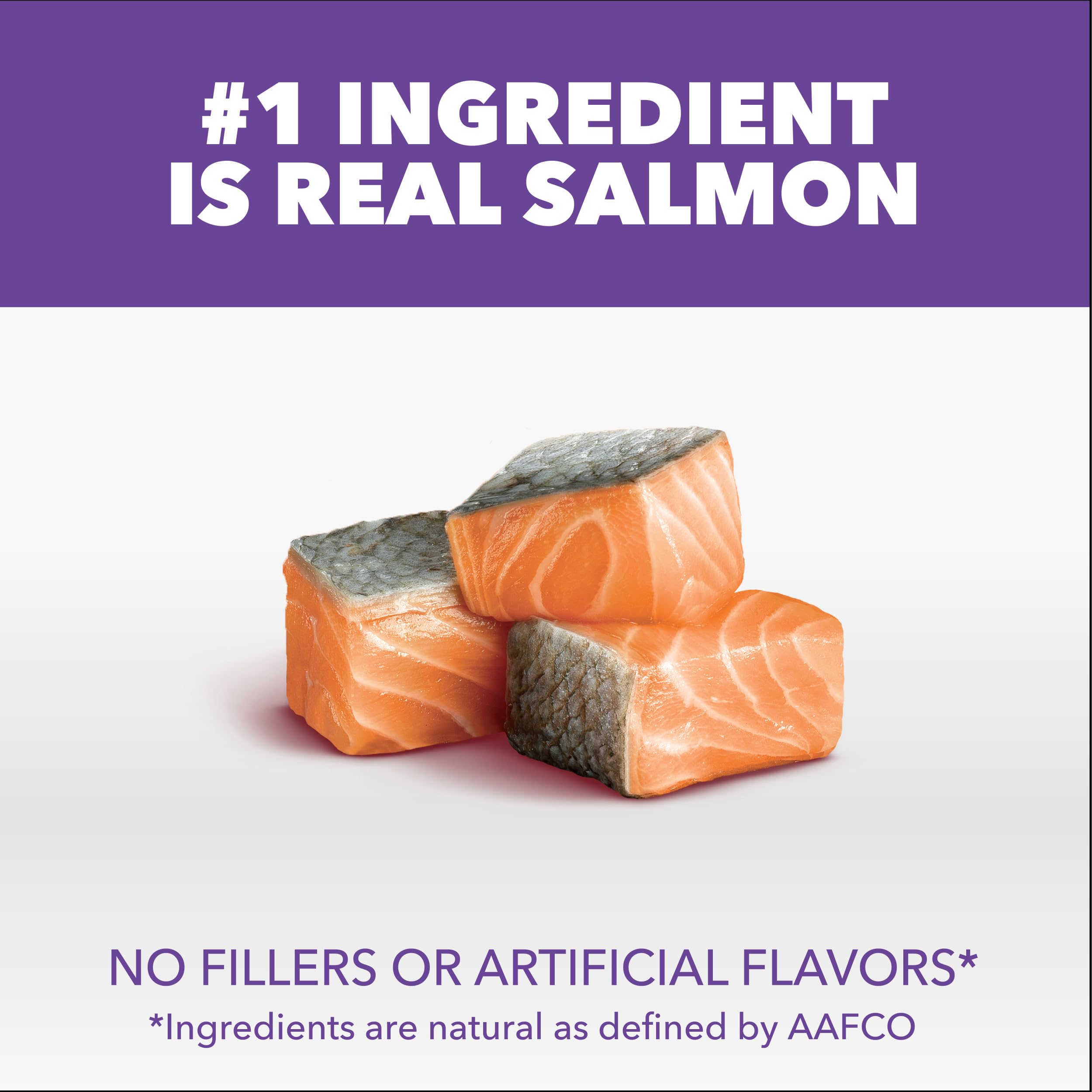 IAMS Proactive Health Gatito Salmón croquetas: sabor natural para gatitos activos.