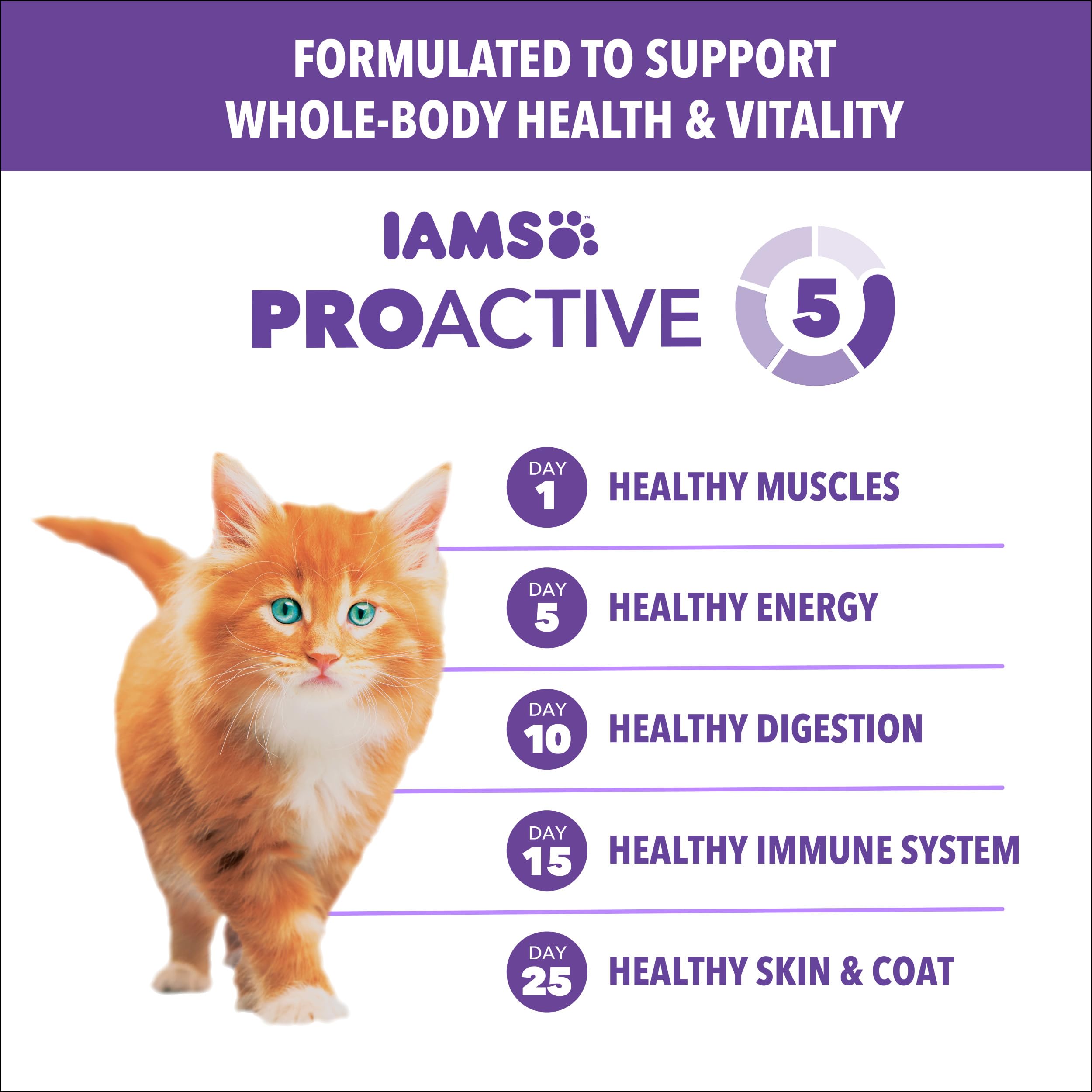 IAMS Proactive Health Gatito, vitamina E para apoyar la inmunidad natural.