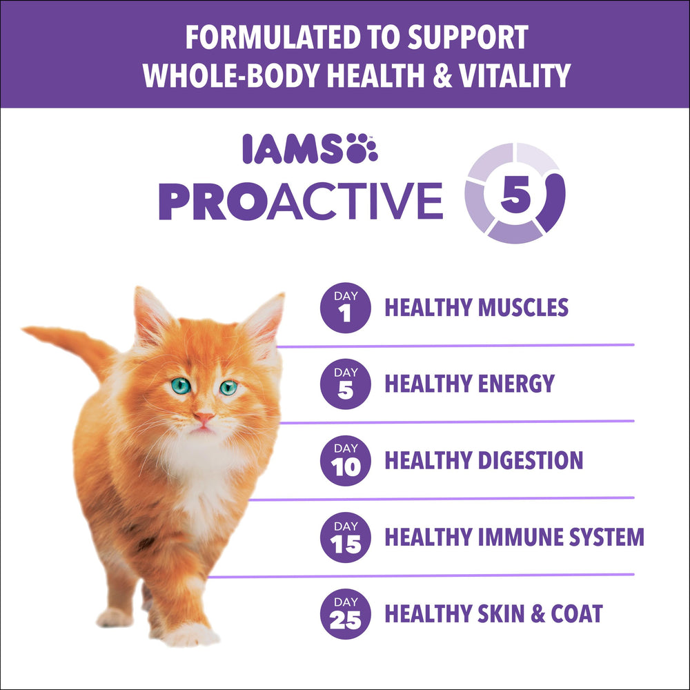 IAMS Proactive Health Gatito, vitamina E para apoyar la inmunidad natural.