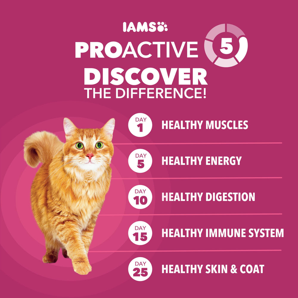 IAMS Proactive Health gato activo gracias a una nutrición completa