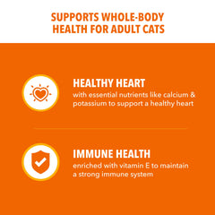 IAMS Proactive Health: ingrediente real pollo, fuente de proteína.