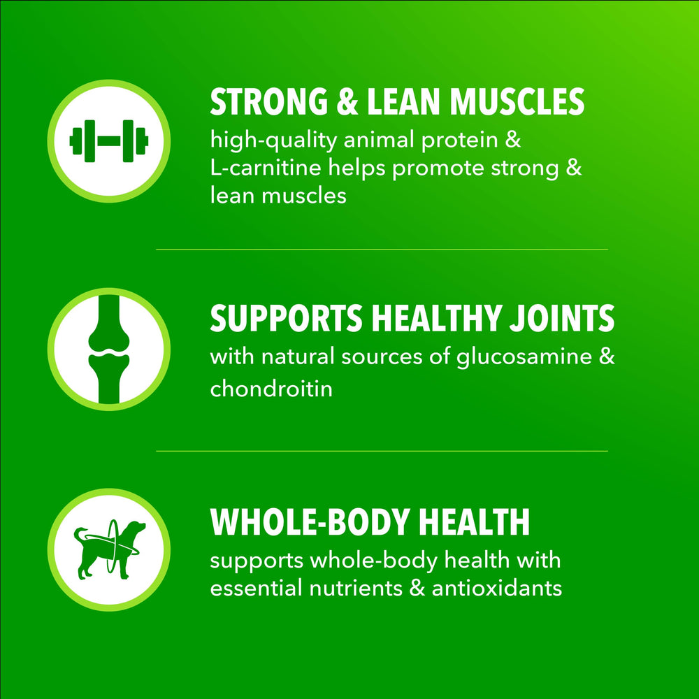 Granos integrales para energía sostenible en IAMS Proactive Health