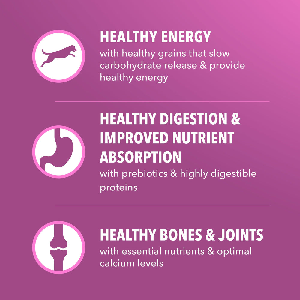 Granos seleccionados en IAMS Proactive Health proporcionan energía estable diaria.