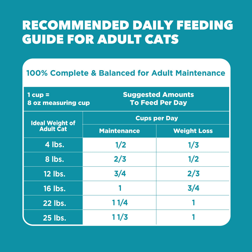Cuenco y alimento IAMS Proactive Health para cuidado de bolas de pelo.