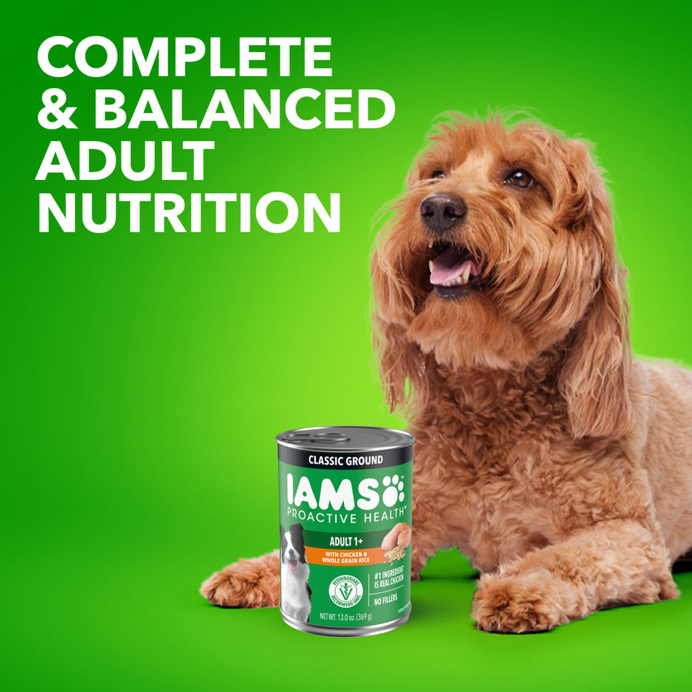 IAMS Proactive Health: ingredientes de calidad para una alimentación constante