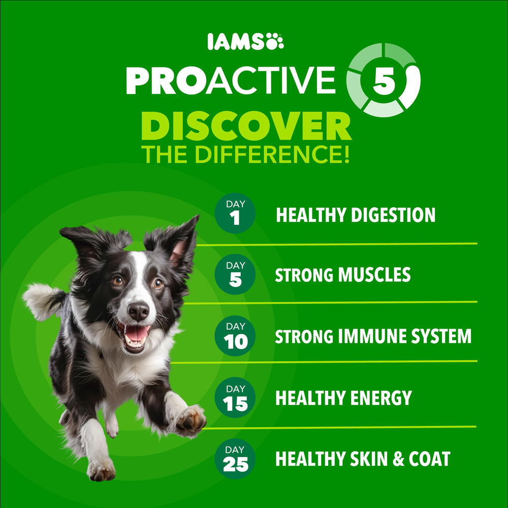 IAMS Proactive Health con pollo, ingredientes reales para una dieta de calidad