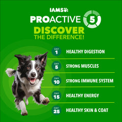 IAMS Proactive Health con pollo, ingredientes reales para una dieta de calidad