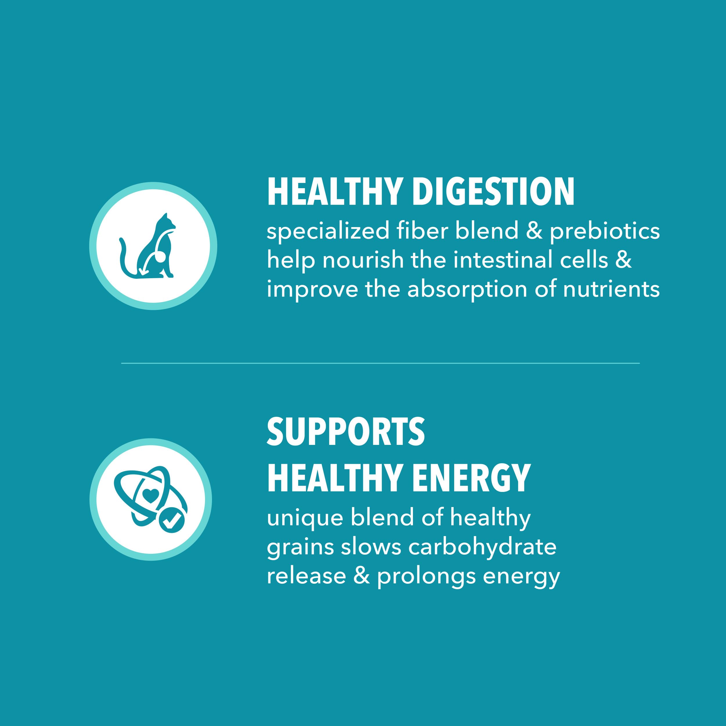 IAMS Proactive Health: L-carnitina para metabolismo más activo.