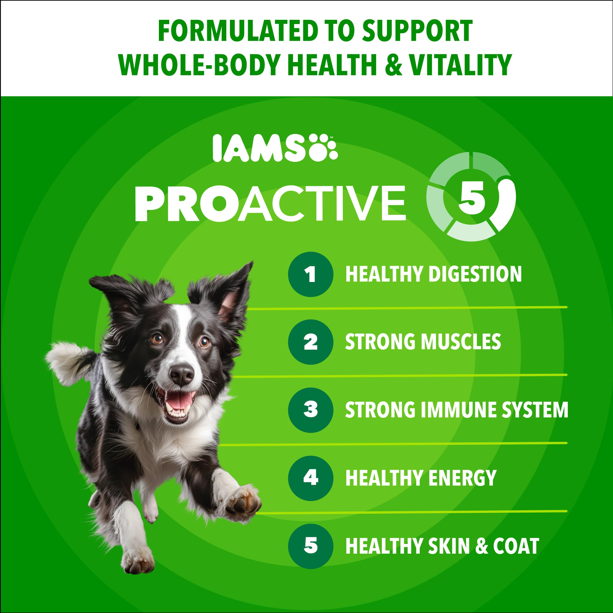 IAMS Proactive Health Minichunks beef close-up highlighting protein