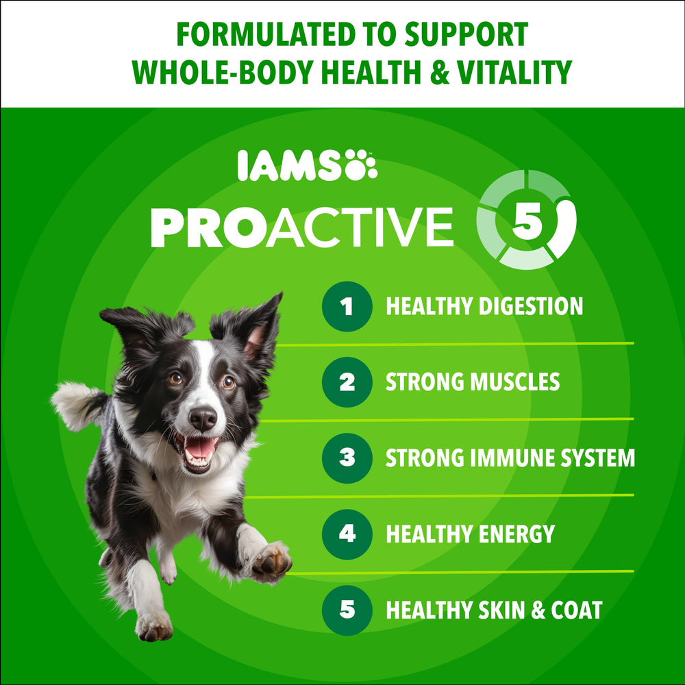 IAMS Proactive Health Minichunks beef close-up highlighting protein