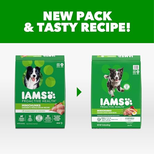 IAMS Proactive Health Minichunks, croquetas crujientes para perros adultos con sabor pollo