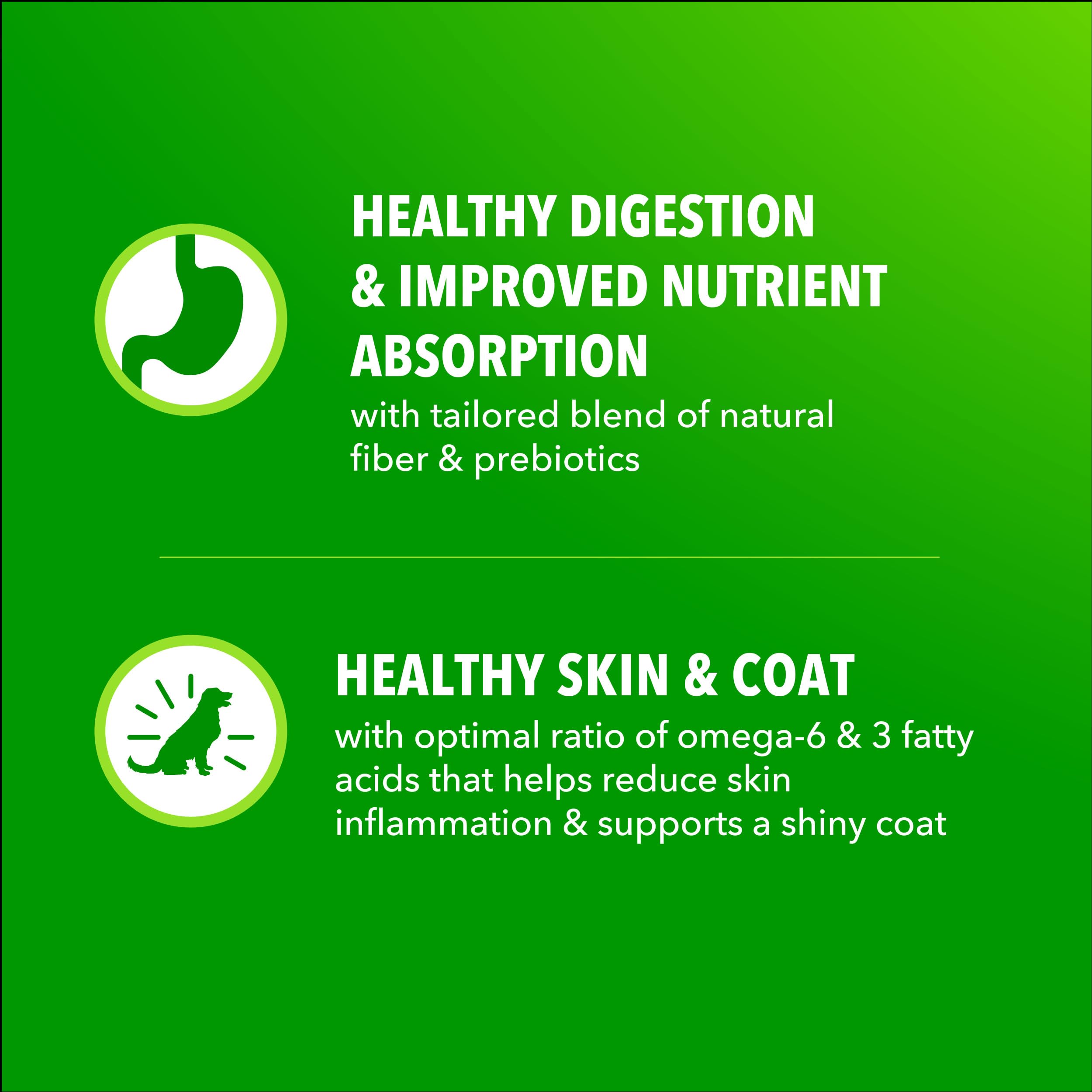 IAMS Proactive Health Minichunks, fibra natural y prebióticos para digestión saludable