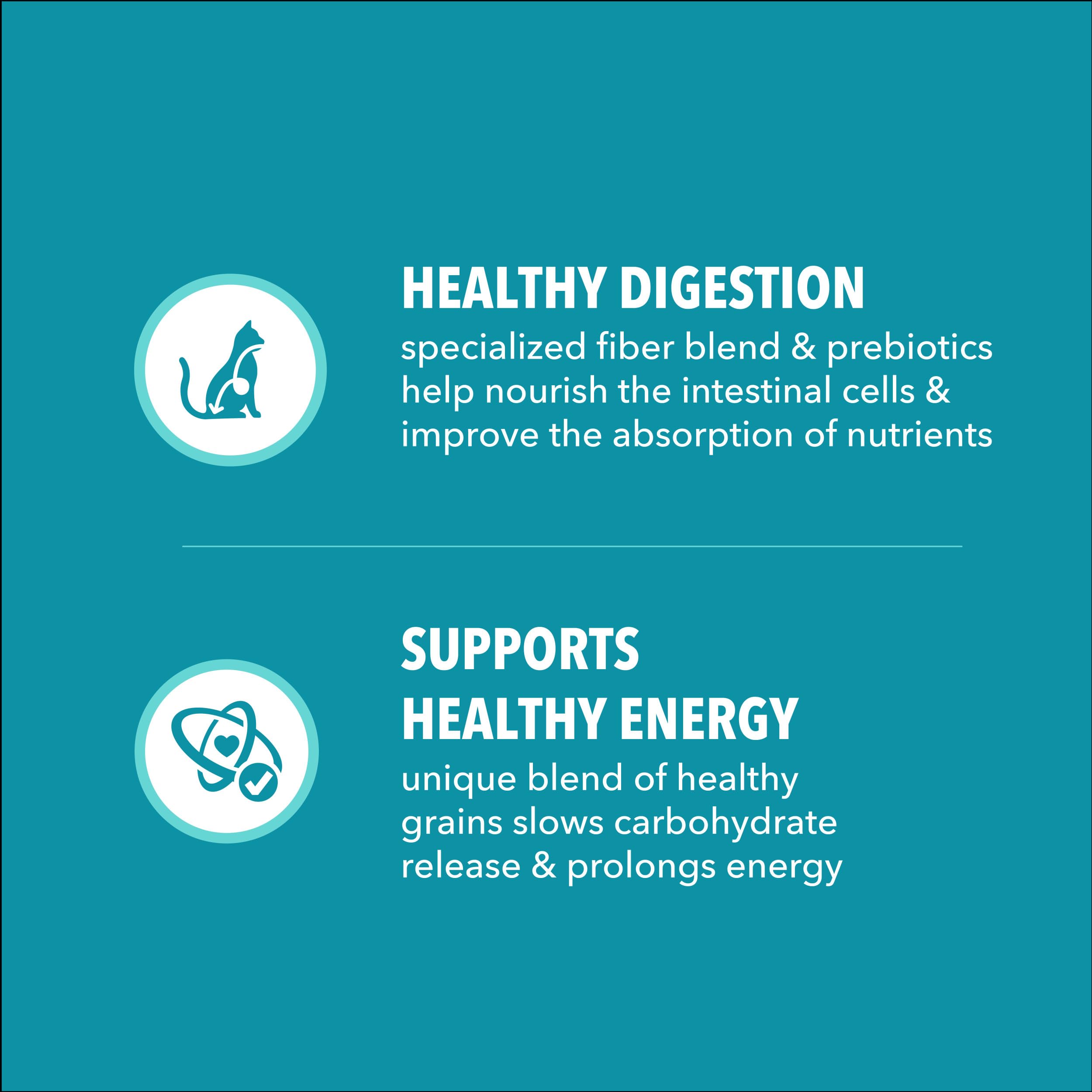 IAMS Proactive Health: prebióticos para digestión y absorción de nutrientes.