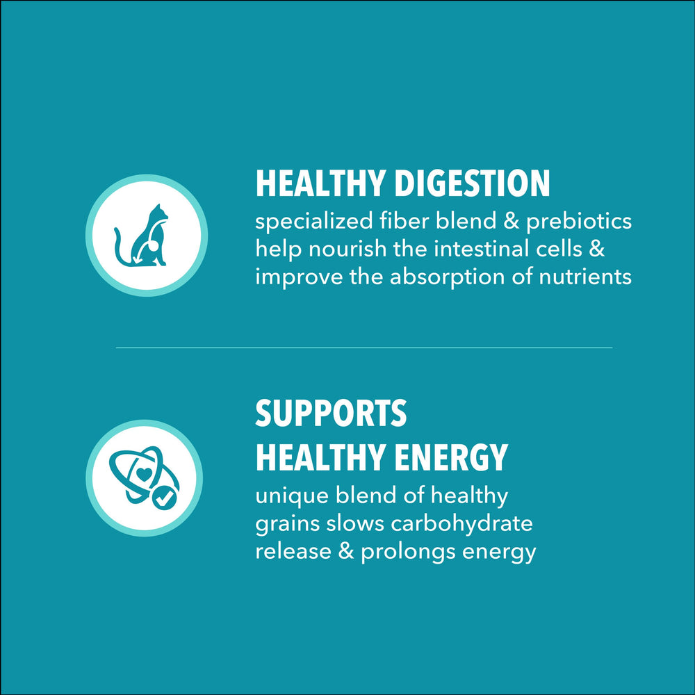 IAMS Proactive Health: prebióticos para digestión y absorción de nutrientes.