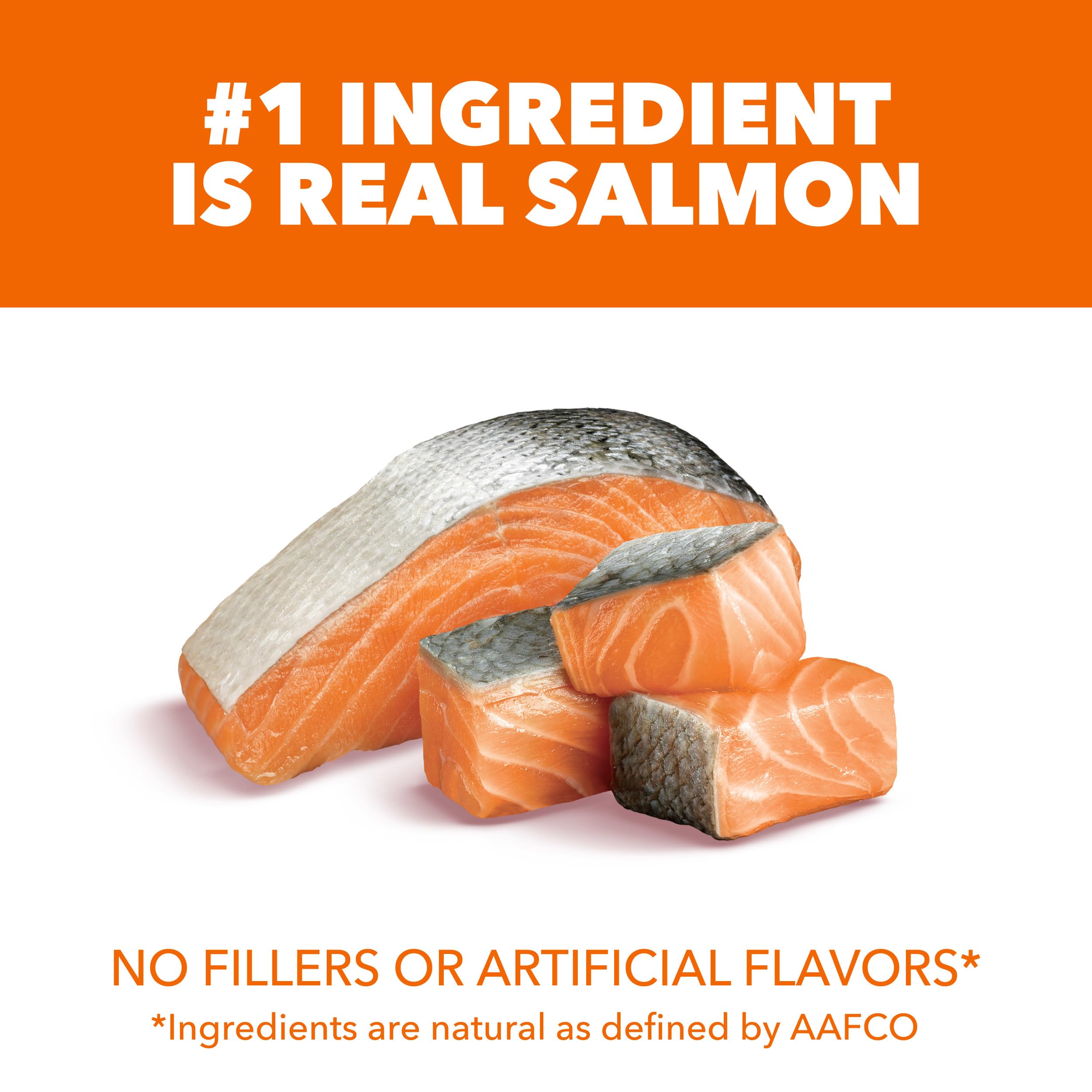 IAMS Proactive Health muestra salmón como primer ingrediente para una dieta sabrosa.