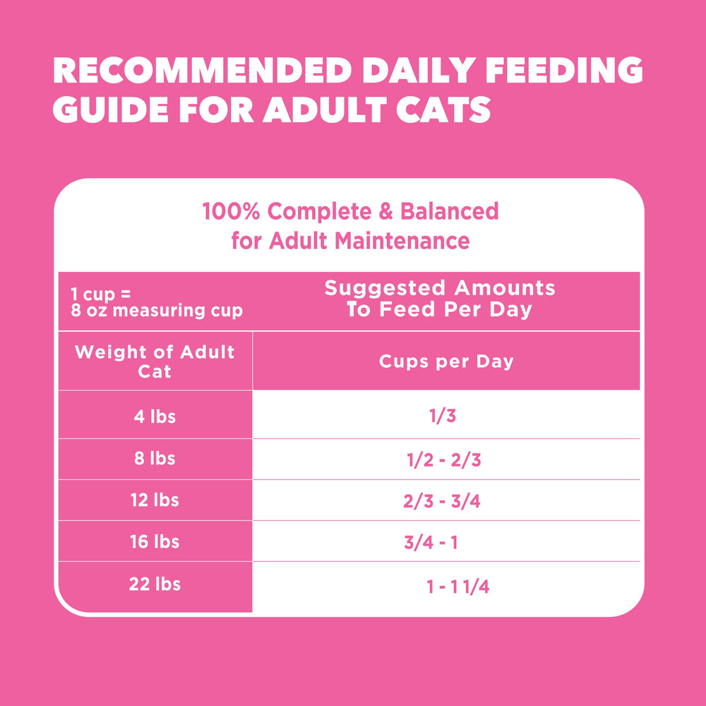 IAMS Proactive Health: proteína de pavo de alta calidad para gatos.