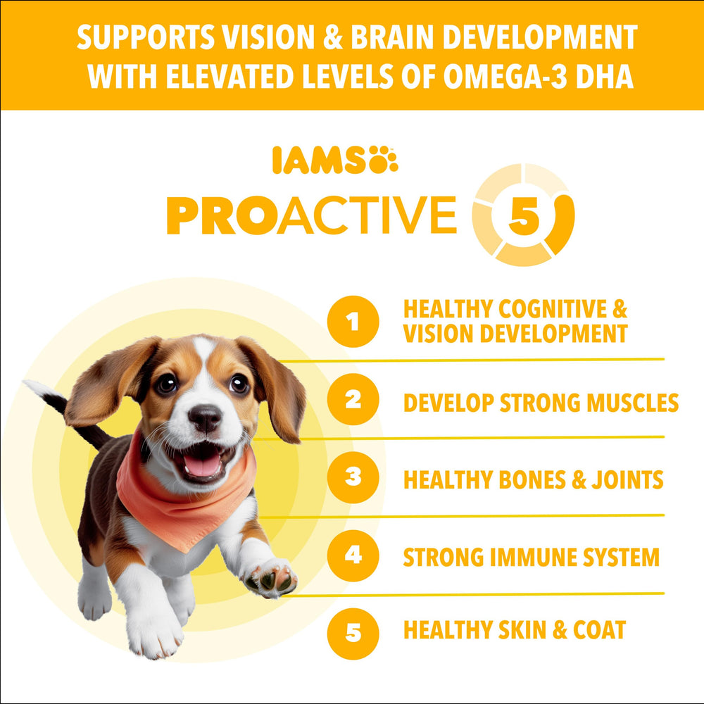 IAMS Proactive Health Puppy Chicken kibble close-up for robust nutrition