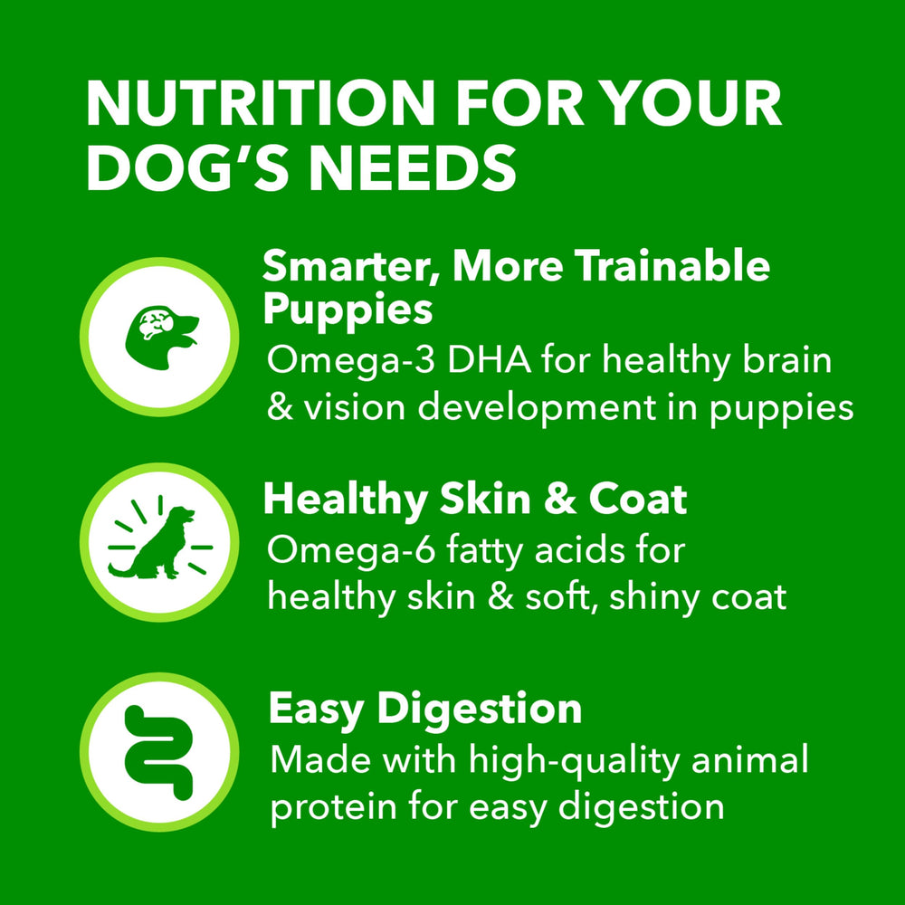 IAMS Proactive Health Puppy, DHA Omega-3 para desarrollo cerebral y visión.