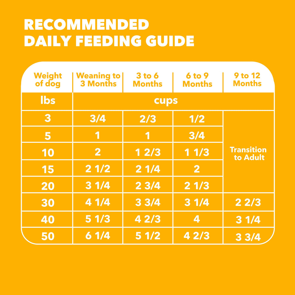 IAMS Proactive Health Puppy balanced nutrition supports energy