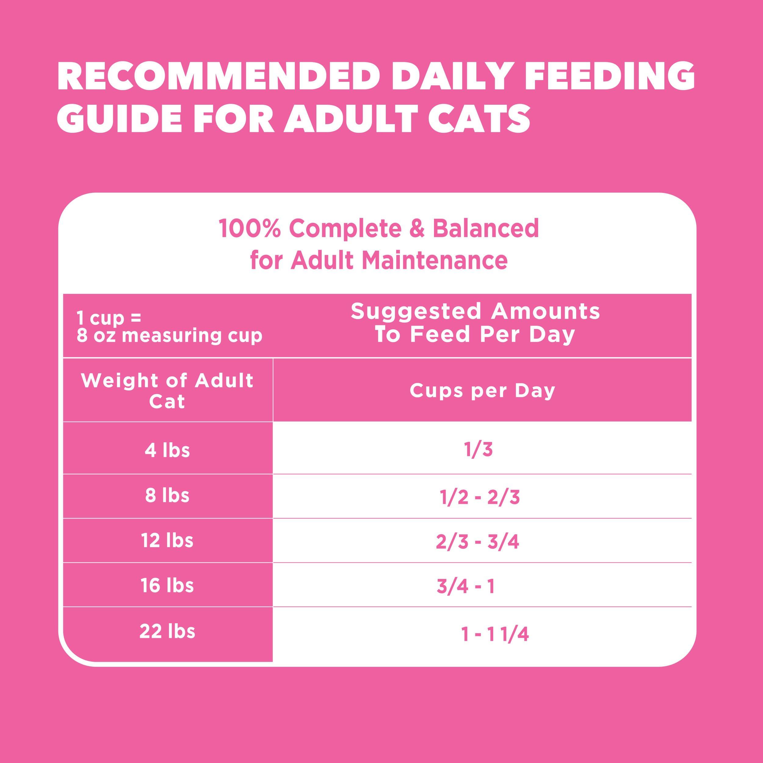 Ritual diario de comida para gatos adultos con IAMS Proactive Health.