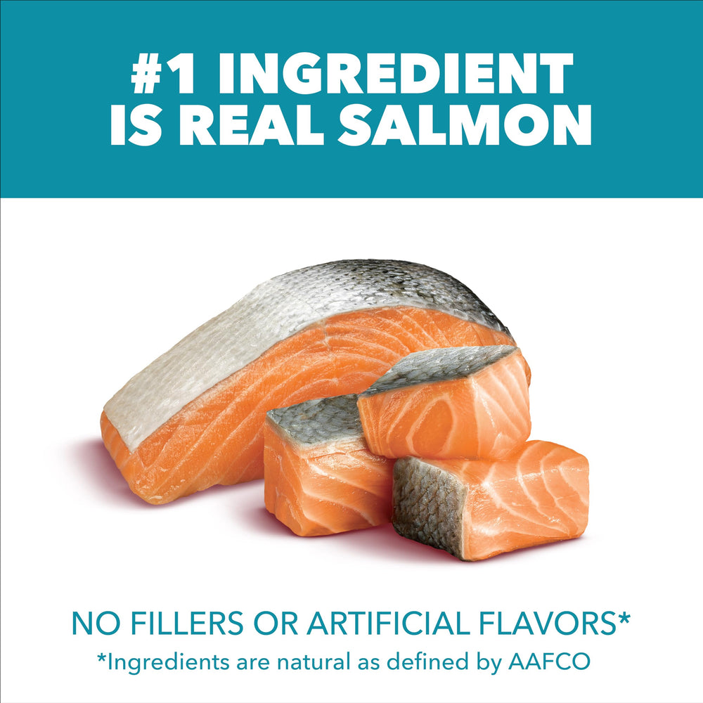 IAMS Proactive Health: salmón principal para sabor y proteína de calidad.