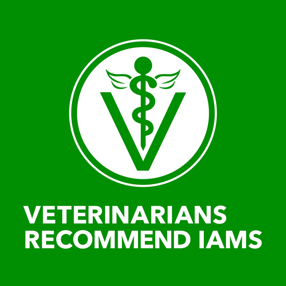 IAMS Proactive Health: salsa sabrosa y trozos de carne